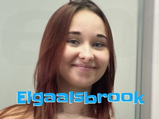 Elgaalsbrook