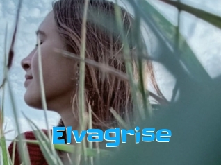 Elvagrise