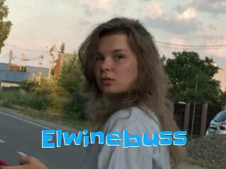 Elwinebuss