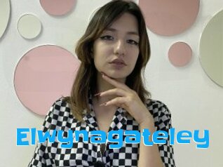 Elwynagateley