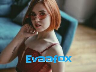 Evaafox