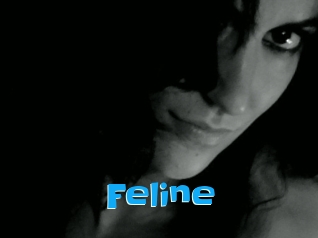 Feline