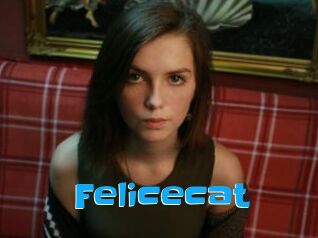 Felicecat