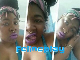 Felineplay