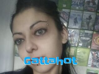 Gattahot