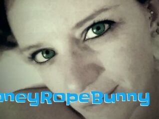 HoneyRopeBunny