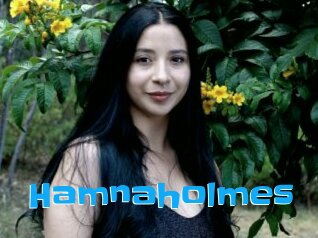 Hamnaholmes