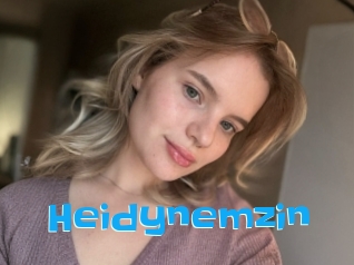 Heidynemzin