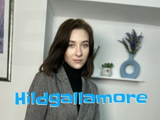 Hildgallamore