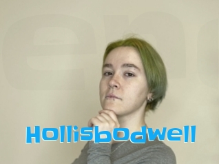 Hollisbodwell