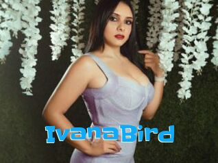 IvanaBird