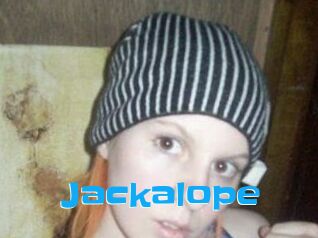 Jackalope