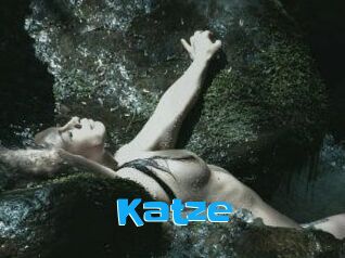 Katze