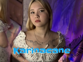Karinacane