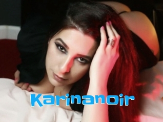Karinanoir