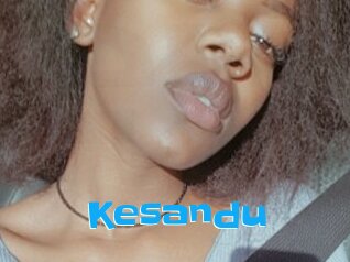 Kesandu