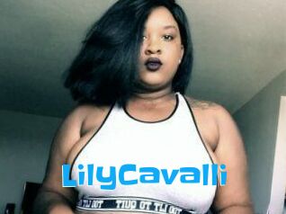 Lily_Cavalli