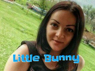 Little_Bunny_