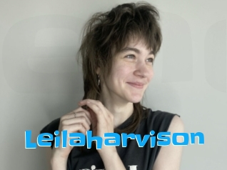 Leilaharvison