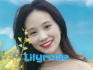 Lilyrose