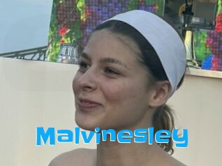 Malvinesley