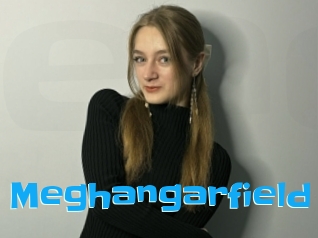 Meghangarfield