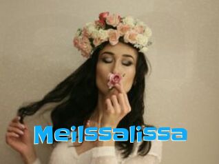 Meilssalissa