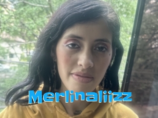 Merlinaliizz