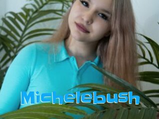 Michelebush