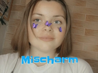 Mischarm