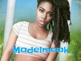 Modelmook