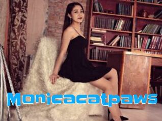 Monicacatpaws