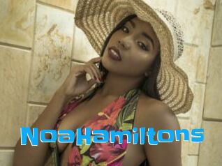 NoaHamiltons