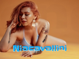 Niacavallini