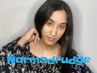 Normadrudge