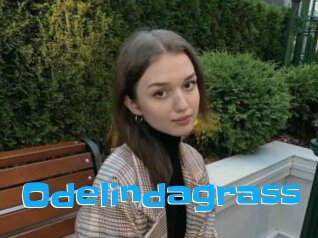 Odelindagrass
