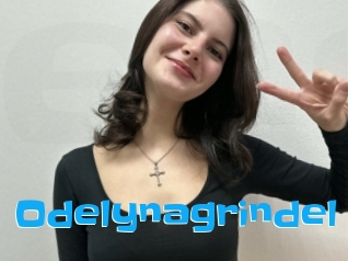 Odelynagrindel