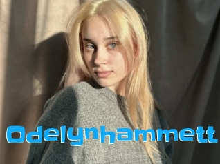 Odelynhammett