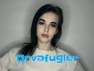 Orvafugler
