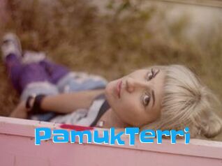PamukTerri