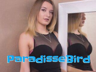 ParadisseBird