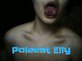 Polecat_Elly