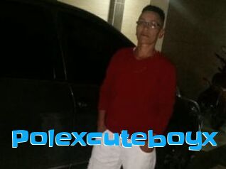 Polexcuteboyx