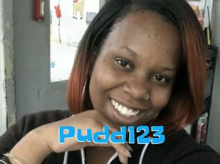 Pudd123