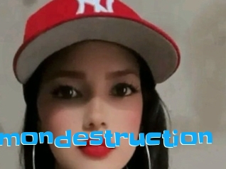 Partydemondestruction