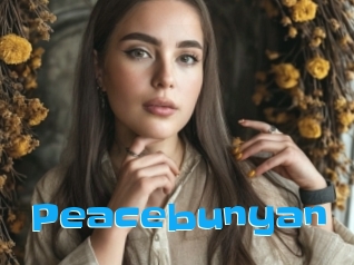 Peacebunyan