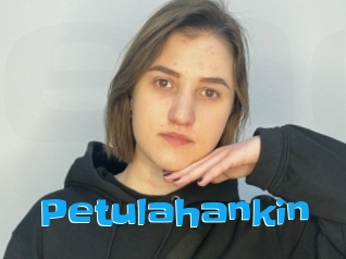 Petulahankin