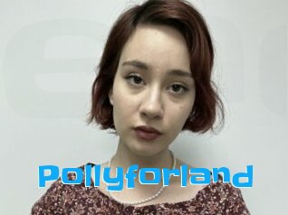 Pollyforland