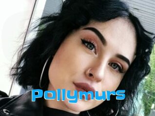 Pollymurs