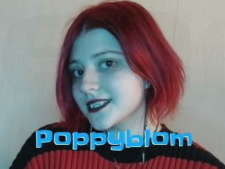 Poppyblom